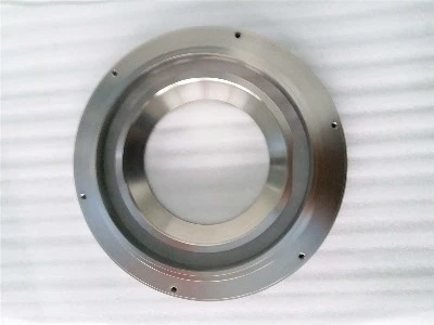 Customizable Titanium Ring Customizable Titanium Ring